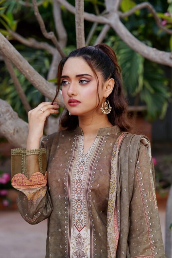 🏵️AYNA DORIA By Jaffrani Textile  03 Piece Lawn Doria Collection 2024🏵️ - Image 4